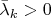 $ \bar{\lambda}_k > 0 $ $ \bar{\lambda}_k > 0 $