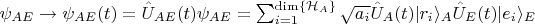 $\psi_{AE}\rightarrow\psi_{AE}(t)=\hat{U}_{AE}(t) \psi_{AE}=\sum_{i=1}^{\operatorname{dim}\{\mathcal{H}_A\}} \sqrt{a_i}\hat{U}_A(t)|r_i\rangle_A\hat{U}_E(t)|e_i\rangle_E$