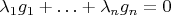 $\lambda_1 g_1+\ldots+\lambda_n g_n=0$