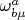 ${\omega}^{a}_{b \mu}$