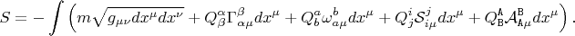 $$
S = - \int \left( m \sqrt{g_{\mu \nu} dx^{\mu} dx^{\nu}}
+ Q^{\alpha}_{\beta} \Gamma^{\beta}_{\alpha \mu} dx^{\mu}
+ Q^{a}_{b} \omega^{b}_{a \mu} dx^{\mu}
+ Q^{i}_{j} {\mathcal S}^{j}_{i \mu} dx^{\mu}
+ Q^{\tt A}_{\tt B} {\mathcal A}^{\tt B}_{{\tt A} \mu} dx^{\mu}
\right).
$$