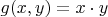 $g(x, y) = x \cdot y$