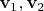 $\mathbf v_1, \mathbf v_2$ $\mathbf v_1, \mathbf v_2$