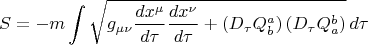 $$
S = - m \int \sqrt{ g_{\mu \nu} \frac{d x^{\mu}}{d \tau}  \frac{d x^{\nu}}{d \tau} 
+ \left( D_{\tau} Q^{a}_{b} \right) \left( D_{\tau} Q^{b}_{a} \right)
} \, d \tau
$$