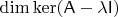 $\dim\ker(\mathsf A-\lambda\mathsf I)$